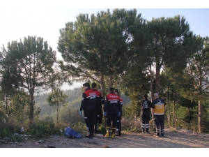 Ağaçta Asılı Bulundu