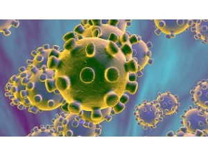 Koronavirüs Medyanın Da Gündeminde