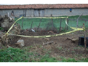 Bağ Evi Bahçesinde Tank Topu Mühimmatı Bulundu