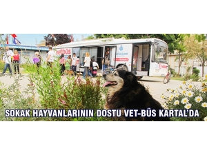 Sokak Hayvanlarının Dostu Vet-büs Kartal’da