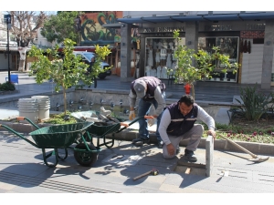 Kemer Sezona Hazırlanıyor