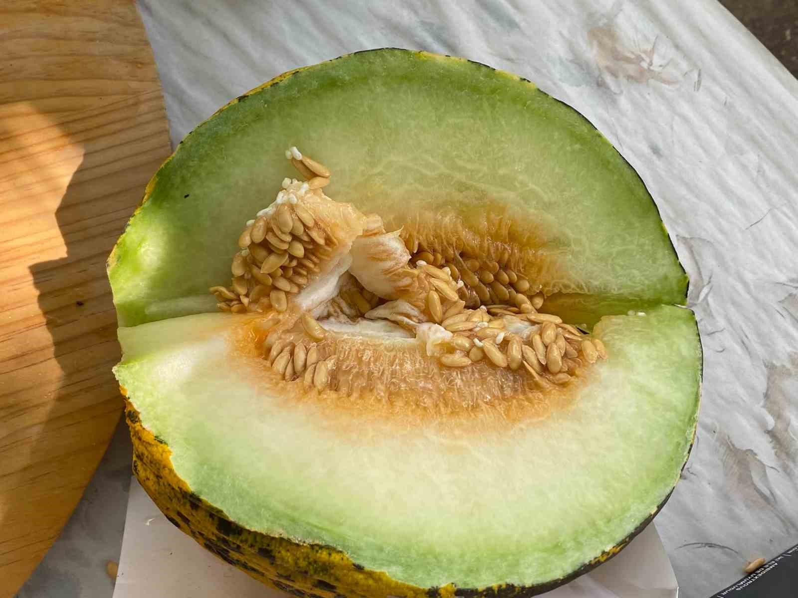 tavas-in-en-iyi-yanik-kokulu-koyun-yogurdu-ve-kavunu-belirlendi