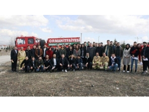 Dpü’lü Öğrenciler, ’Orman Yangınlarıyla Mücadele’de Gönüllü Oldu