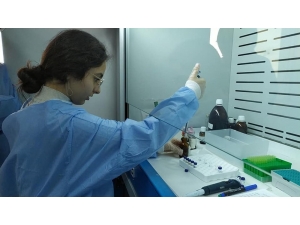 Liselilerin Bu Buluşu İle Yaralar Erken İyileşecek