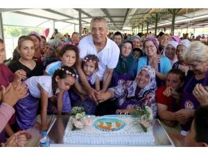 Mezitli Belediyesi, 8 Mart’ı Etkinliklerle Kutlayacak
