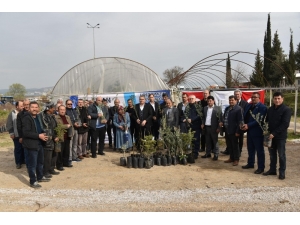 Yunusemre’den Üreticiye Fidan Desteği