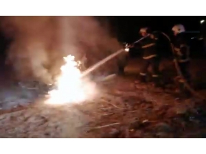 Park Halindeki Otomobil Alev Alev Yandı