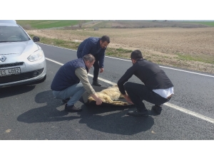 Yolda Can Çekişirken Buldular