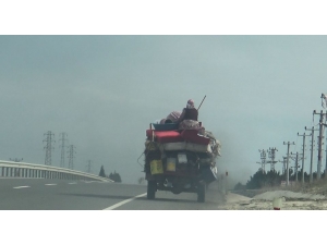 Ölümle Burun Buruna Yolculuk