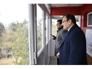 "Yunanistan Sığınma Hakkını Bırakın, Yaşam Hakkını İhlal Ediyor"