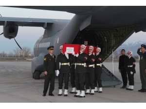 İdlib Şehidinin "Şehit Olmak Kalbime Doğuyor" Dediği Duygulandıran Videosu