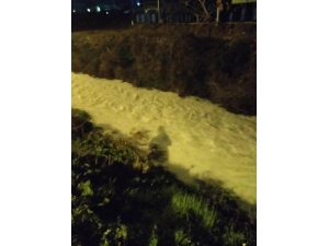 Gemlik Karsak Deresi’ni Kirletenlere 888 Bin Lira Ceza