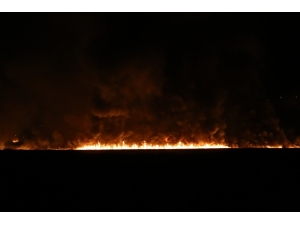 Kaş’taki Sazlık Yangını Söndürüldü