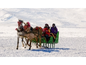 Çıldır Gölü Rengârenk