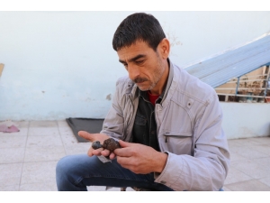 Piknik Yaptığı Alanda Bulduğu Taşların Gök Taşı Olduğunu İddia Etti