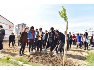 Kepez’den 2 Okula 106 Ağaç