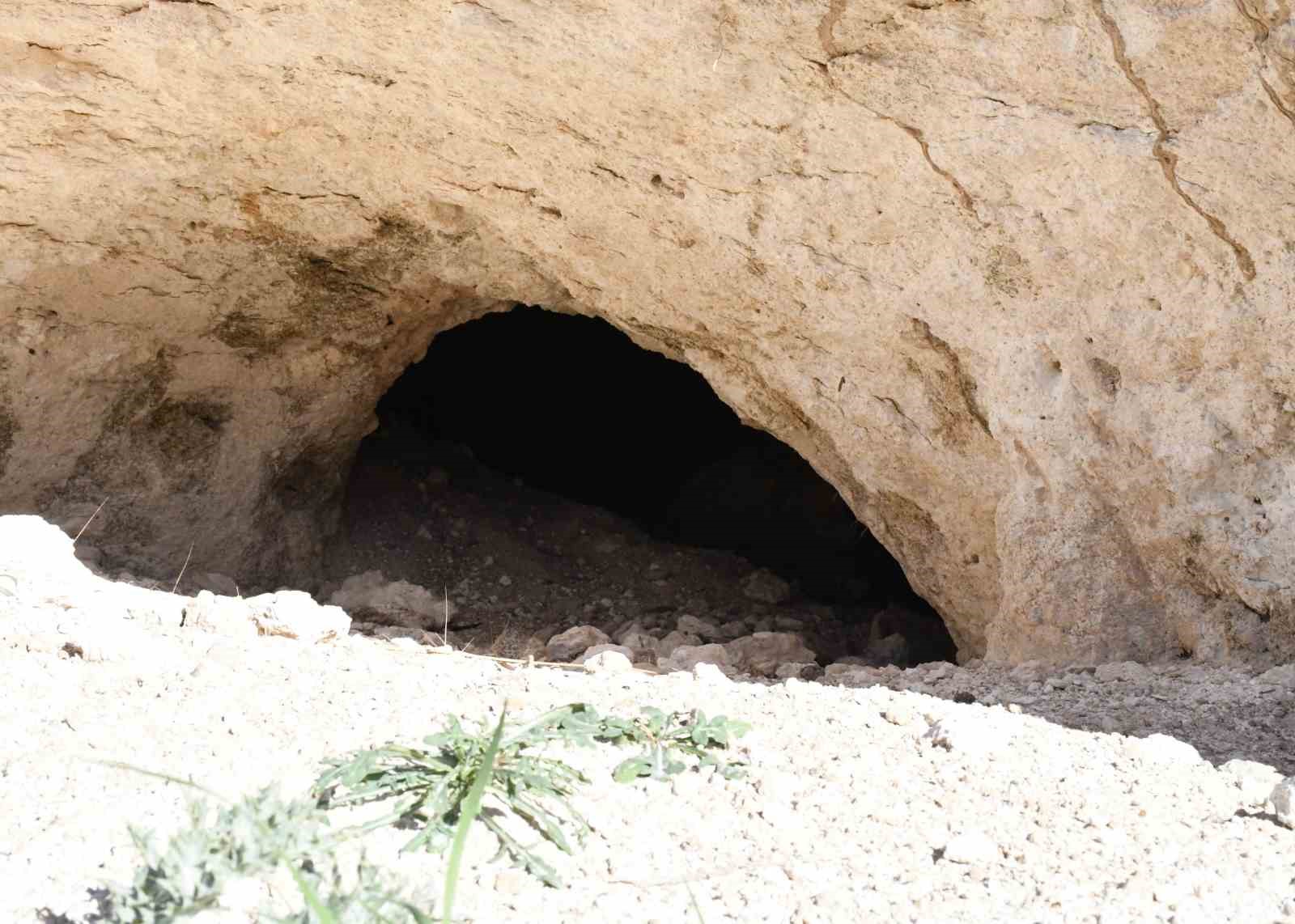 pekmezin-sirri-bu-toprakta-yozgat-tan-antalya-ya-almanya-ya-kadar-gidiyor