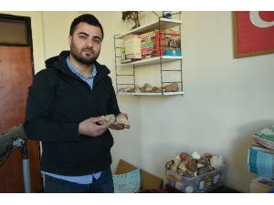 Şanlıurfa’da 10 Milyon Yıllık Balık Fosili Bulundu