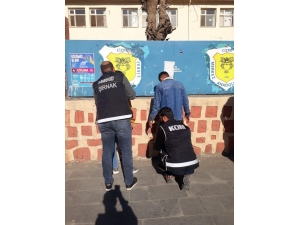 Cizre’de Uyuşturucu Denetimi