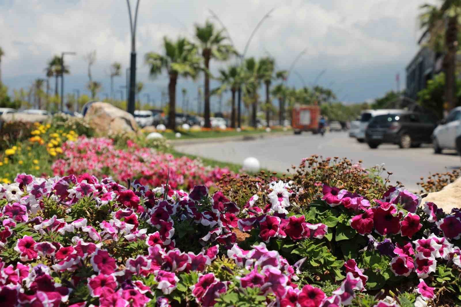 iskenderun-sahili-renkli-ciceklerle-suslendi