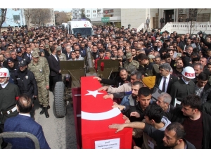 “Şehit Olmak Kalbime Doğuyor” Diyen İdlib Şehidini Son Yolculuğuna Binler Uğurladı