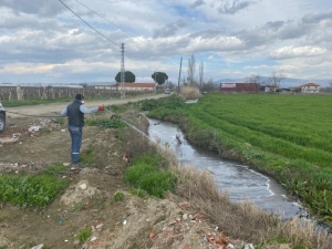 Manisa’da Haşereyle Mücadele Başladı