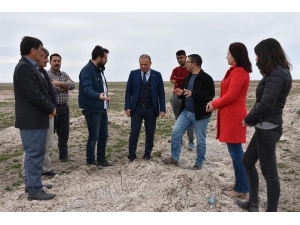 Aksaray’da Meralar Gürleşiyor Hayvancılık Gelişiyor