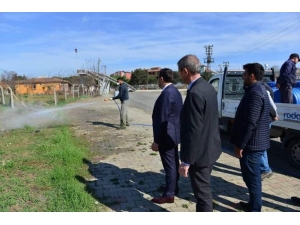 Larva, Uçkun Ve Kışlak İle Mücadele Başladı