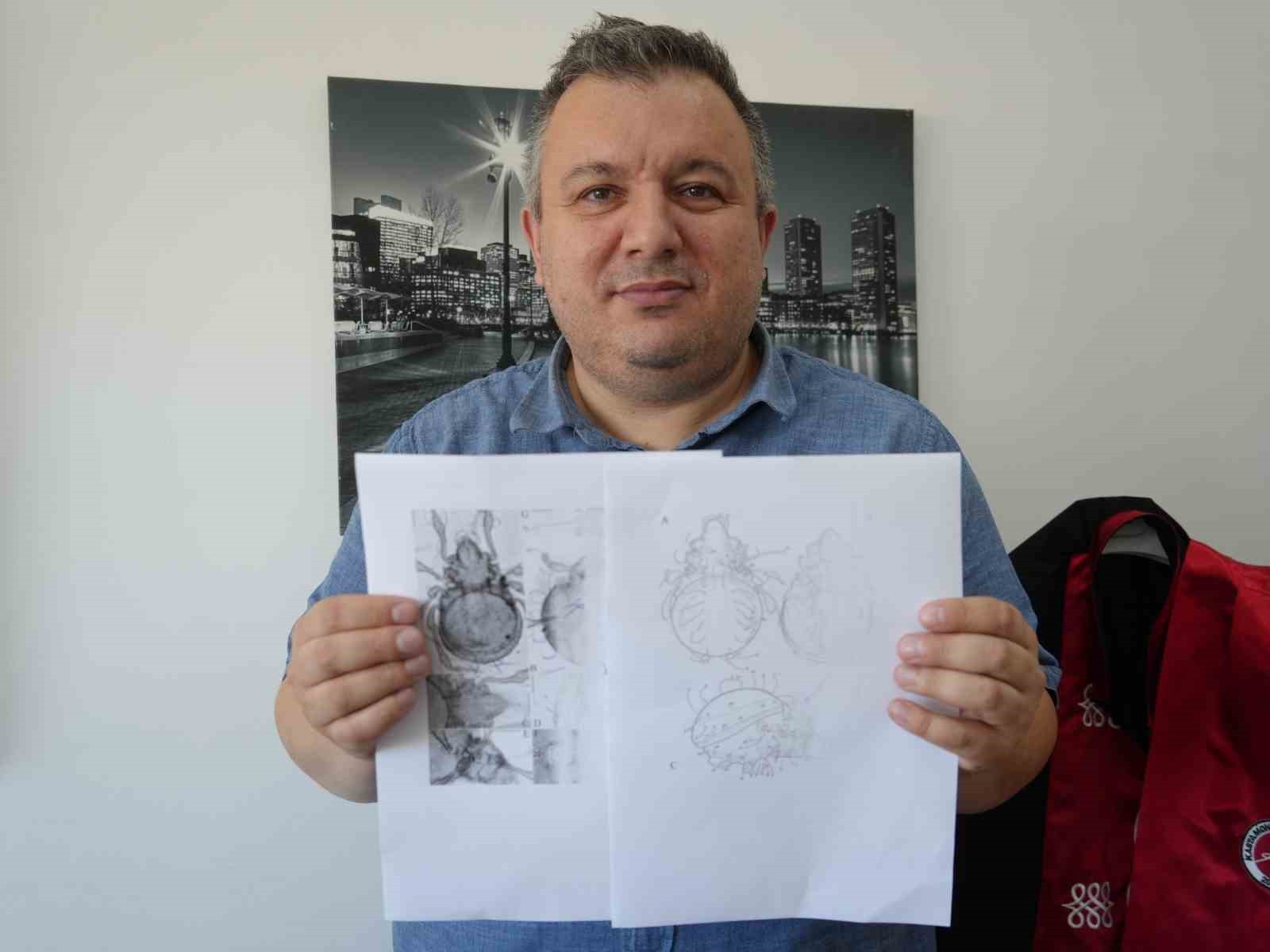 kastamonu-da-tespit-edilen-yeni-akar-turu-bilim-literaturune-kazandirildi