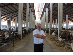 Tkdk Desteğiyle Ab Standartlarında Süt Üretim Çiftliği Kurdu