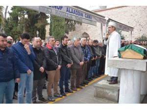 Minik Çınar Lösemiye Yenildi
