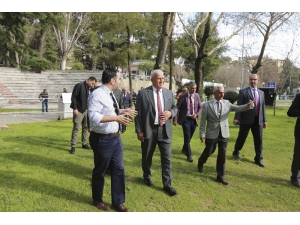 Efeler’de Festival Heyecanı