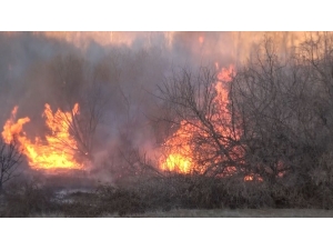 Ormanlık Alanda Çıkan Yangını İtfaiye Ağaçlara Sıçramadan Söndürdü
