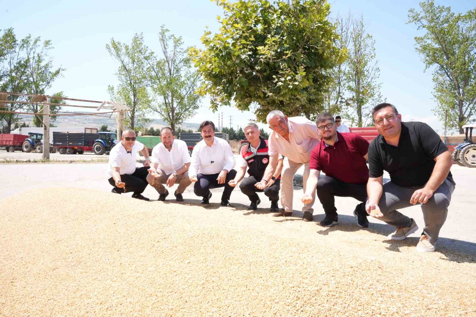 yenisehir-de-bugday-alimlari-basladi-baskan-ercan-ozel-den-ureti-ciye-tam-destek