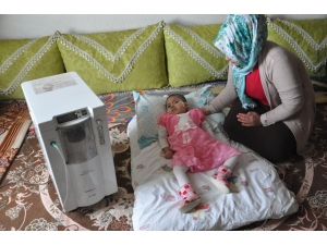 Yüksekovalı Minik Maral’ın Yaşam Mücadelesi