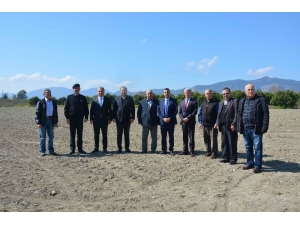 Muğlalı Çiftçiye ’Pikan Cevizi’ Desteği