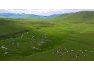 Ordu’da Biyolojik Zenginlik