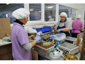 Tuğba’nın Kadınları, Hemcinsleri İçin Seferber Oldu