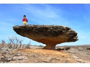 Asırlık Mantar Kaya Görenleri Hayrete Düşürüyor