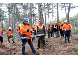 Kütahya’da Daha Kaliteli Orman İçin Tatbikat