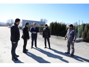 Melikgazi İçin Tırlarla Ağaçlar Geliyor