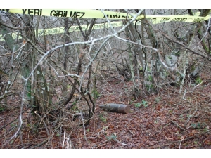 O İlçede 3 Gün Sonra İkinci Kez Tank Topu Mühimmatı Bulundu