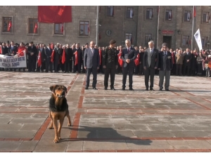 Sokak Köpeği Törenin İlgi Odağı Oldu