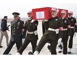 Iğdırlı Şehidin Cenazesi Memleketine Geldi