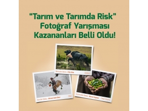 Tarsim Fotoğraf Yarışması Sonuçlandı