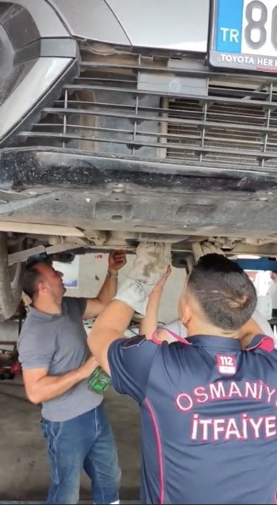 osmaniye-de-otomobilin-motoruna-sikisan-yavru-kedi-kurtarildi