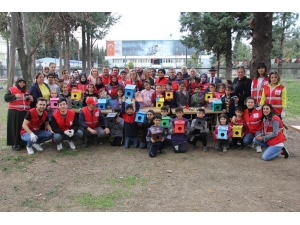 Samsun’da Kuşlar İçin Rengarenk Yuvalar