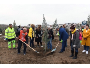 474 Kadının Adı Hatıra Ormanında Yaşayacak