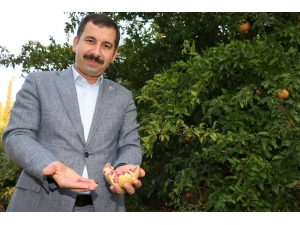 Karaköprü’de “Kedüp” Kuruluyor