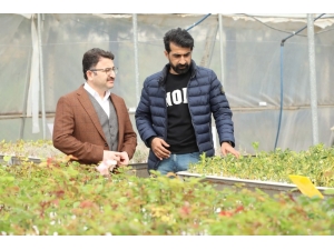 Kaymakam Çam, "Vatandaşlarımızın Daha Yeşil Bir Kızıltepe’de Yaşamalarına Olanak Sağlayacağız"